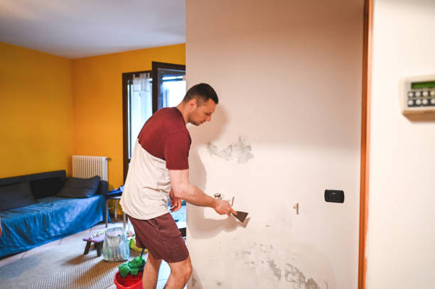 Best Certified Mold Removal  in Siesta Acres, TX